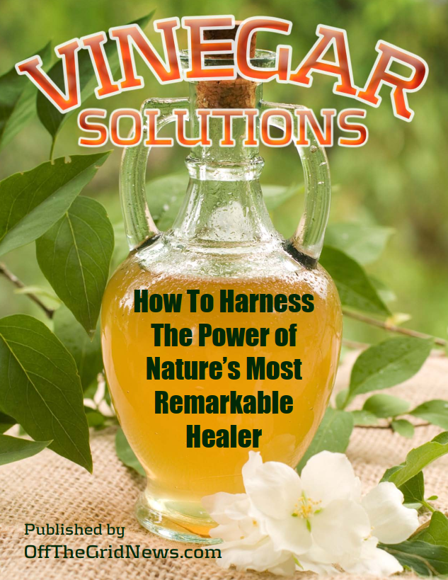 Vinegar Solutions – How to Harness The Power Of Nature’s Most Remarkable Healer!