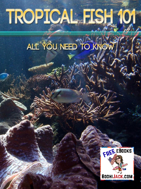 Free eBook - Tropical Fish 101 - All You Need to Know!