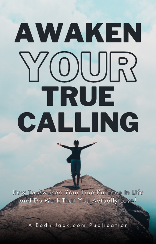 Free eBook - Awaken Your True Calling